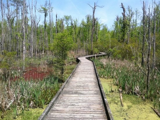 Goose Creek State Park