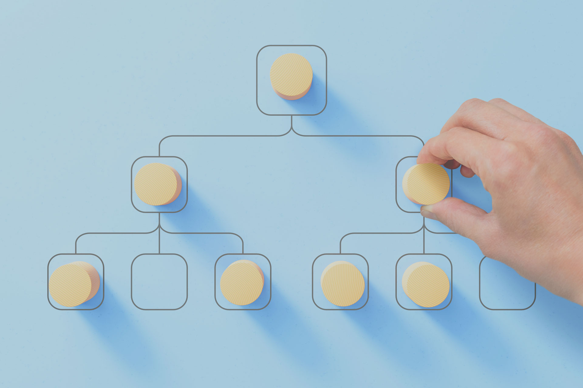 Org Chart