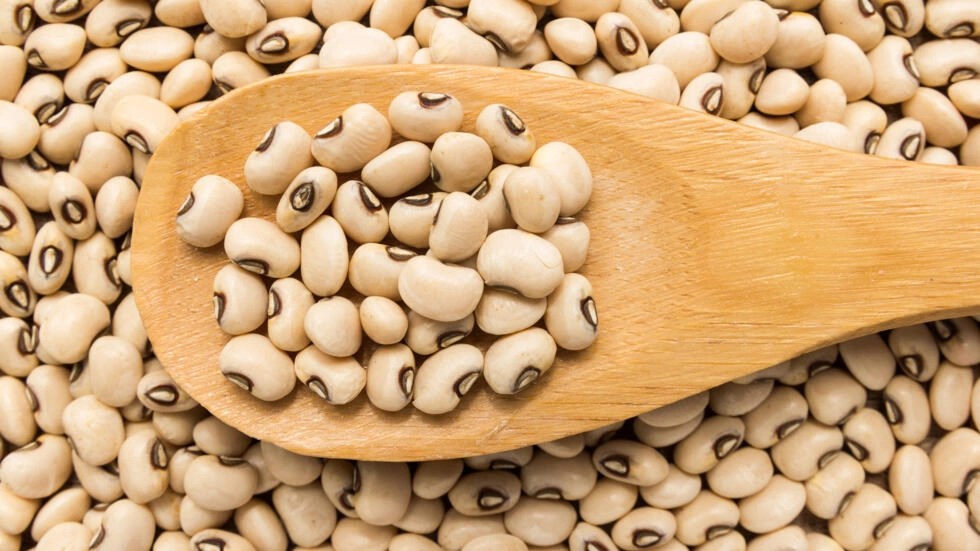 RDC: un programme «tôle contre haricots» fait le bonheur des villageois de Kalera