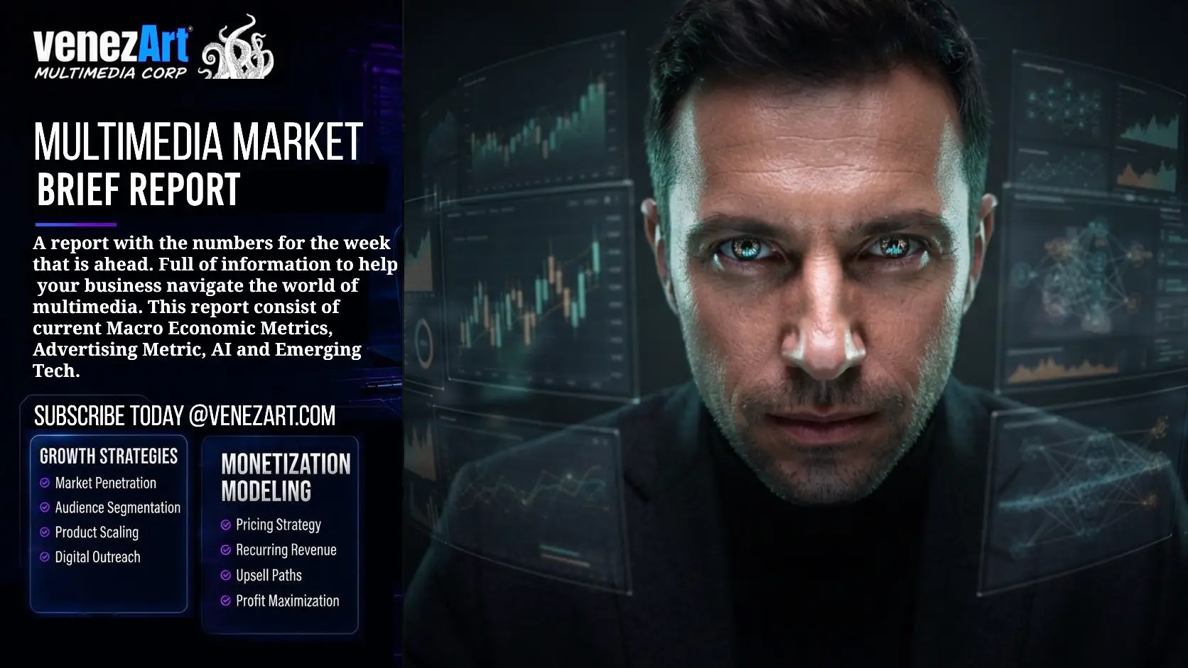 Multimedia Market Brief Report