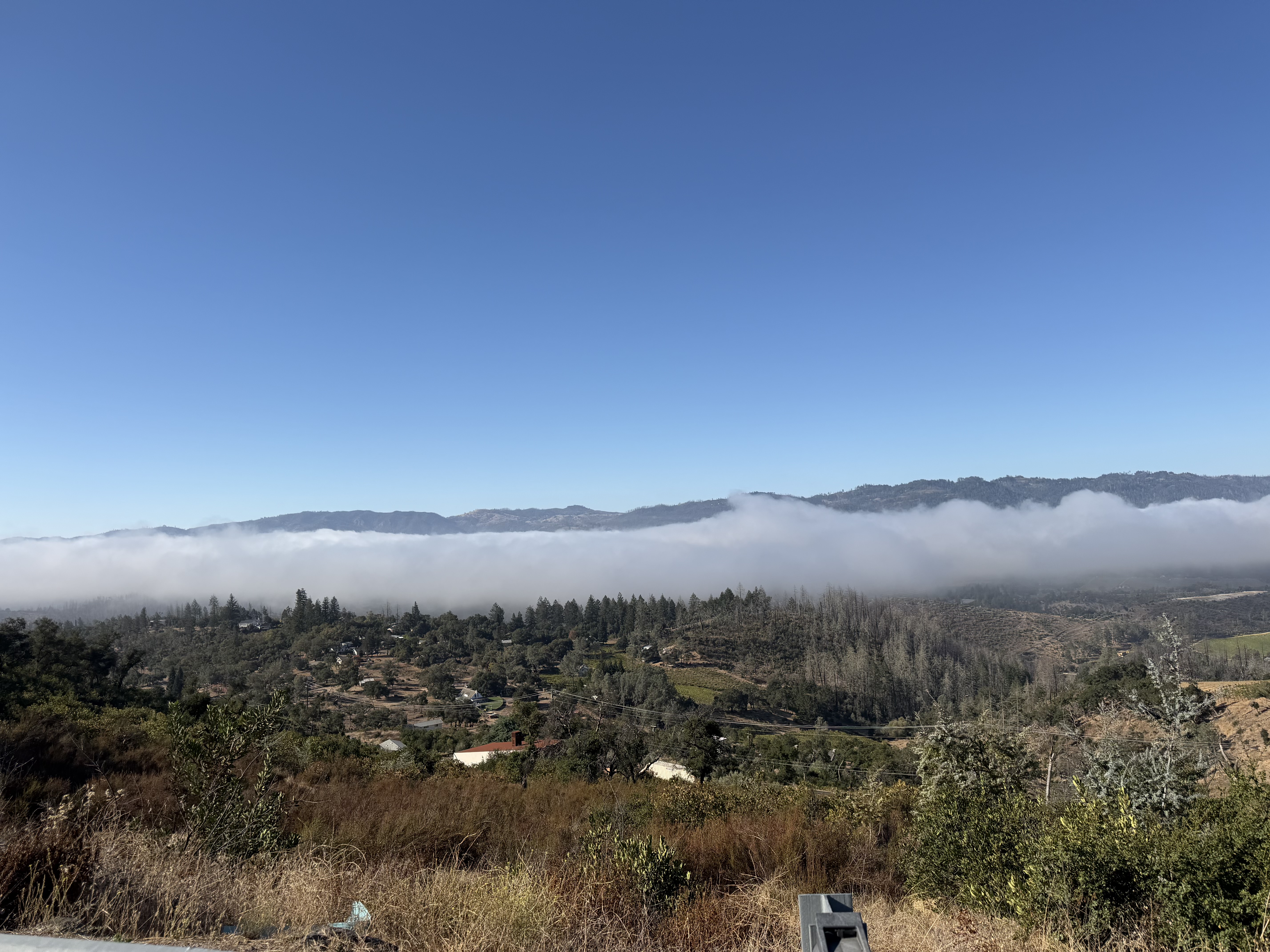Original Venice Wine Experiences photograph of morning clouds over Napa Valley vineyards