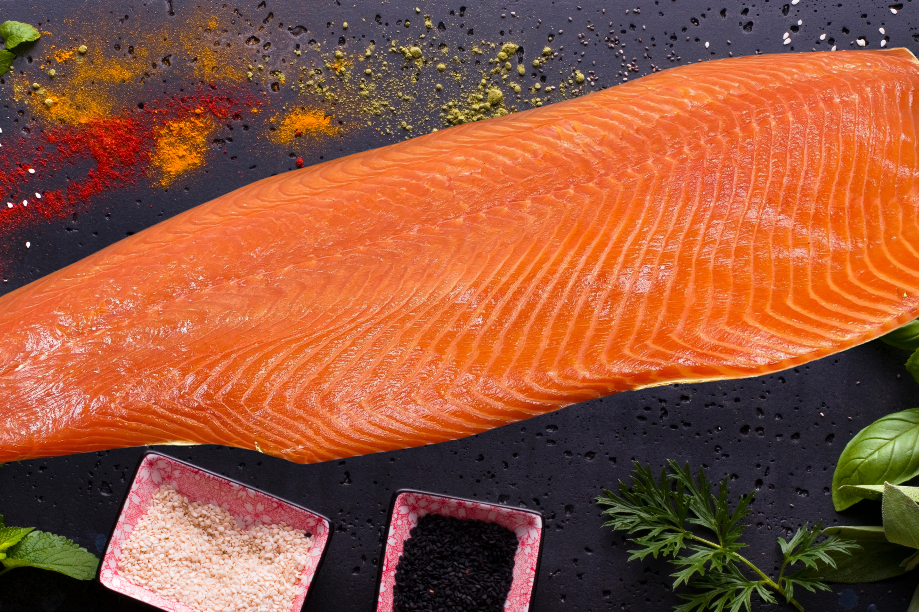 Venmark Fisk Has Control Over The Temperature - Stunning Nature Illustration - Desktop