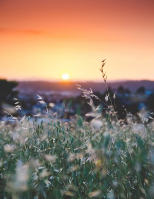 simple background backgrounds venngage sunset edit