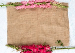 simple background backgrounds message edit venngage burlap