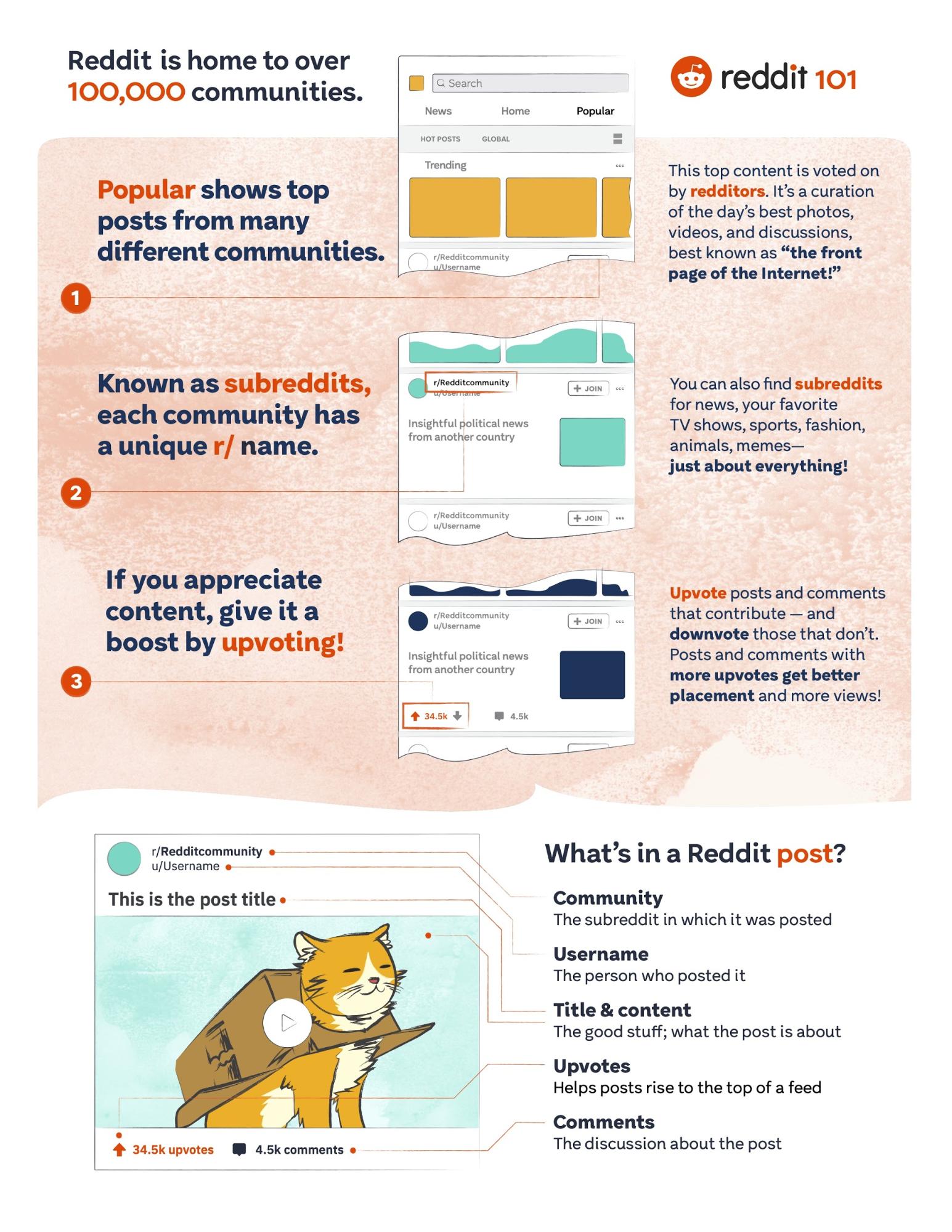 70 Brand Guidelines Templates Examples Tips For Consistent Branding Venngage