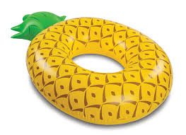 pool float