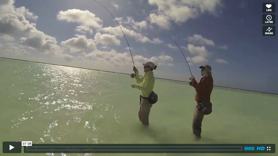 Video Fly Fishing Christmas Island from Shane Kohlbeck The Venturing