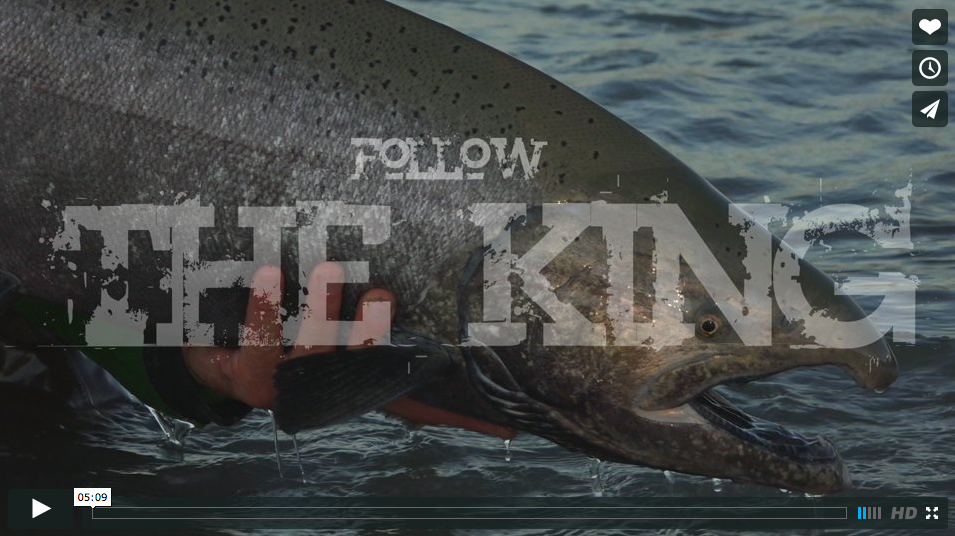 Video Fly Fishing for King Salmon in British Columbia The Venturing