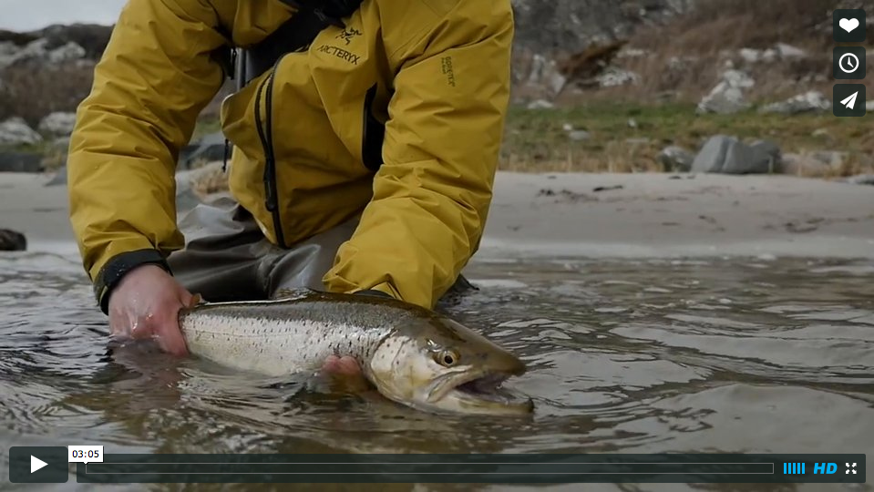 Video Fly Fishing the West Coast of Sweden for Seatrout The Venturing Angler
