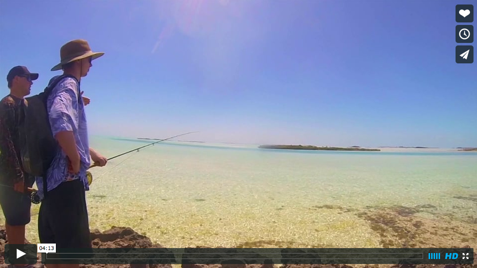 Video Fly Fishing for Exuma Bonefish The Venturing Angler