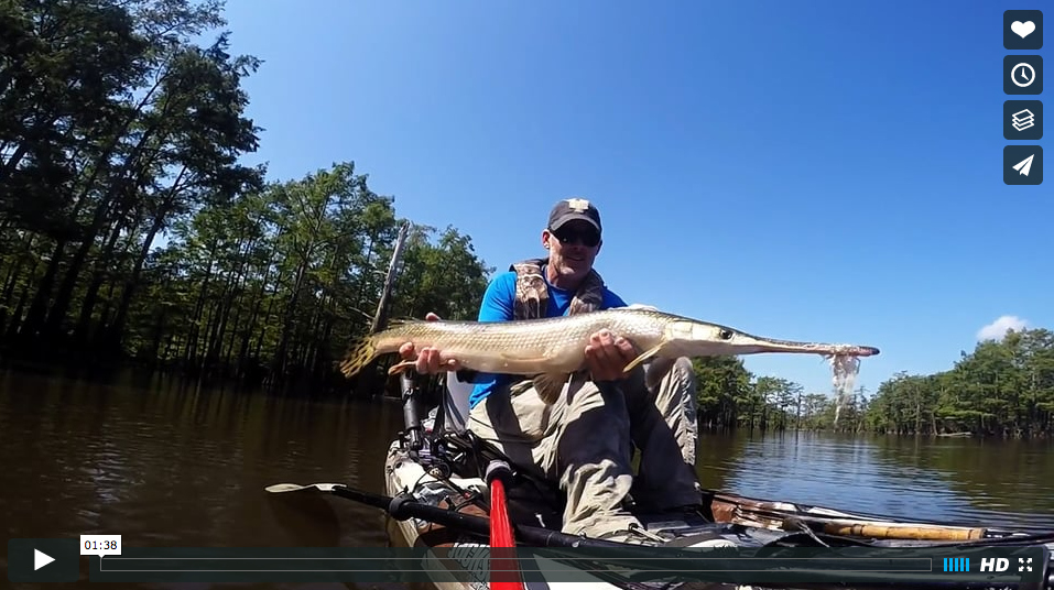 Video Kayak Fly Fishing for Gar in “Prehistoric” The Venturing Angler