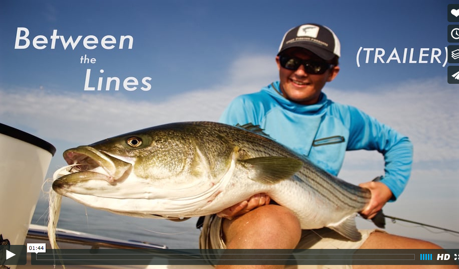 Trailer Fly Fishing for Striped Bass in “Between the Lines” The