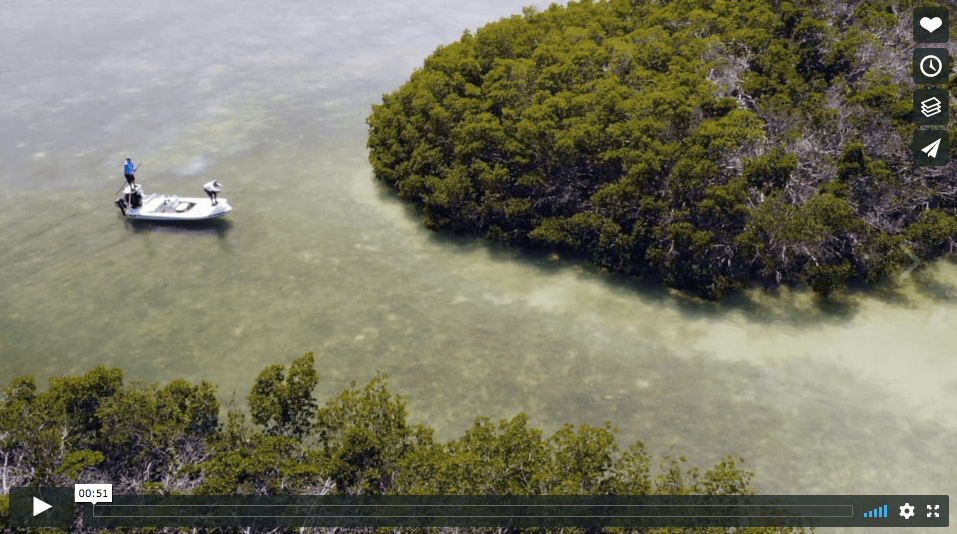Video Fly Fishing for Juvenile Tarpon in the Florida Keys The Venturing Angler