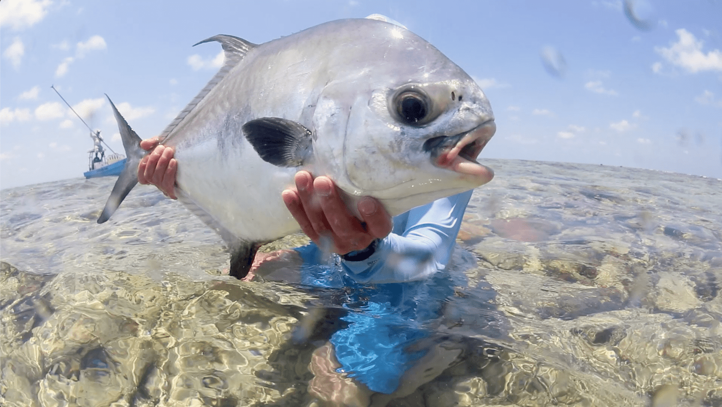 Video Fly Fishing for Permit in Belize The Venturing Angler
