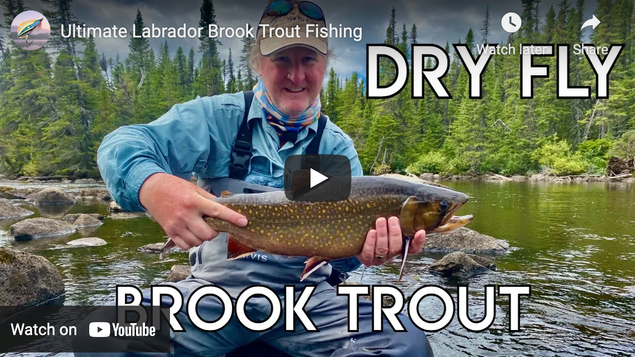 Show Fly Fishing for Brook Trout in Labrador The Venturing Angler