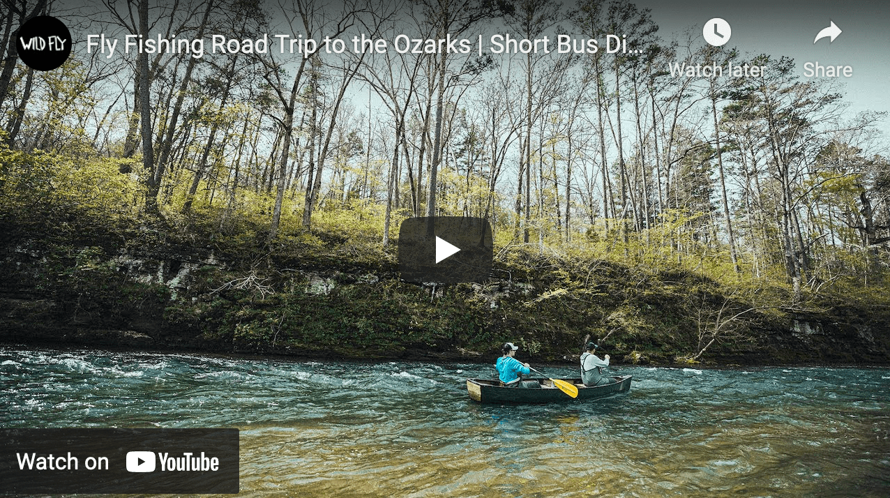 Video Fly Fishing Road Trip to the Ozarks The Venturing Angler