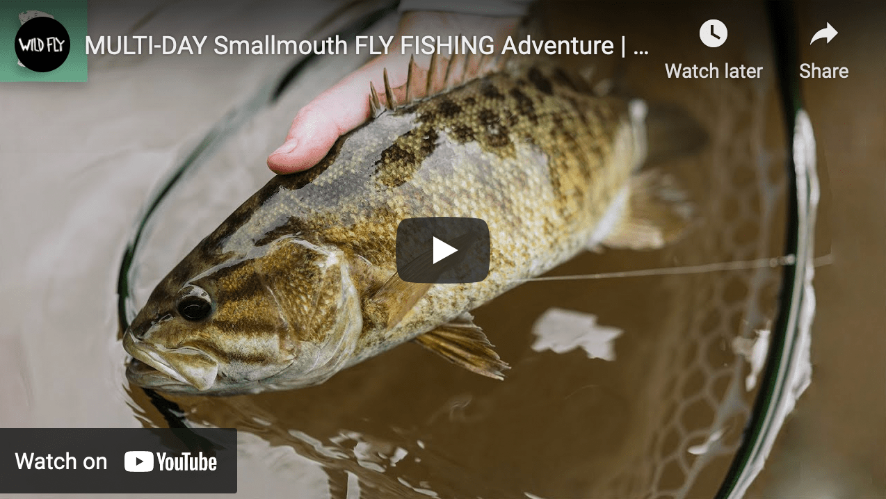 Video Fly Fishing for Smallmouth Bass in Alabama The Venturing Angler