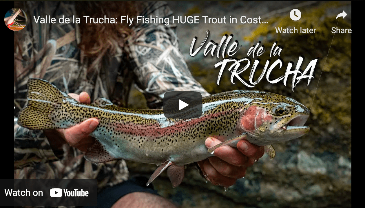 Video Fly Fishing for Trout in Costa Rica The Venturing Angler