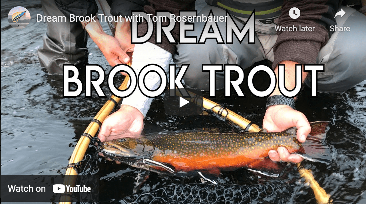 Video Fly Fishing for Brook Trout in Labrador The Venturing Angler