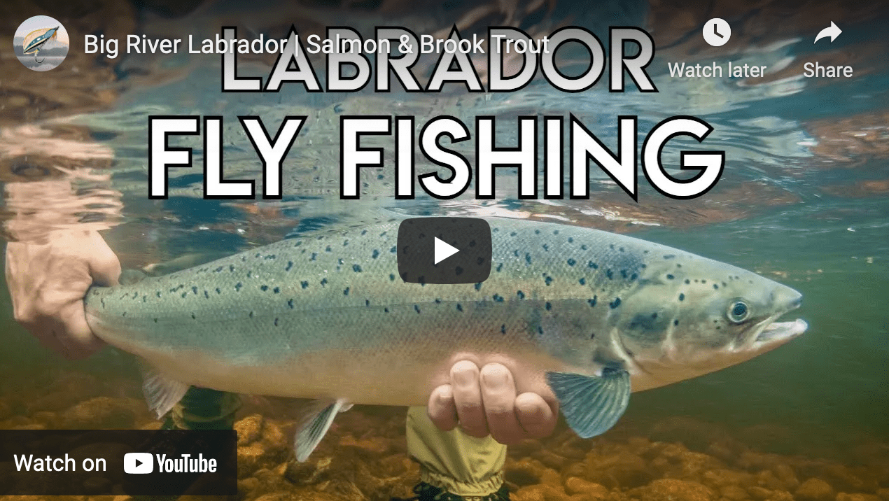 Video Fly Fishing for Brook Trout and Atlantic Salmon in Labrador