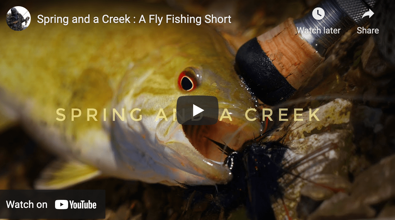 Video Creek Fly Fishing for Smallmouth Bass The Venturing Angler
