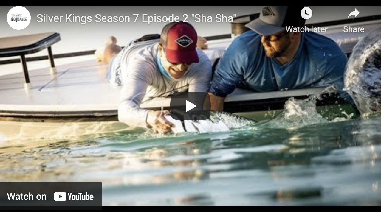 Show Fly Fishing for Tarpon in the Florida Keys The Venturing Angler