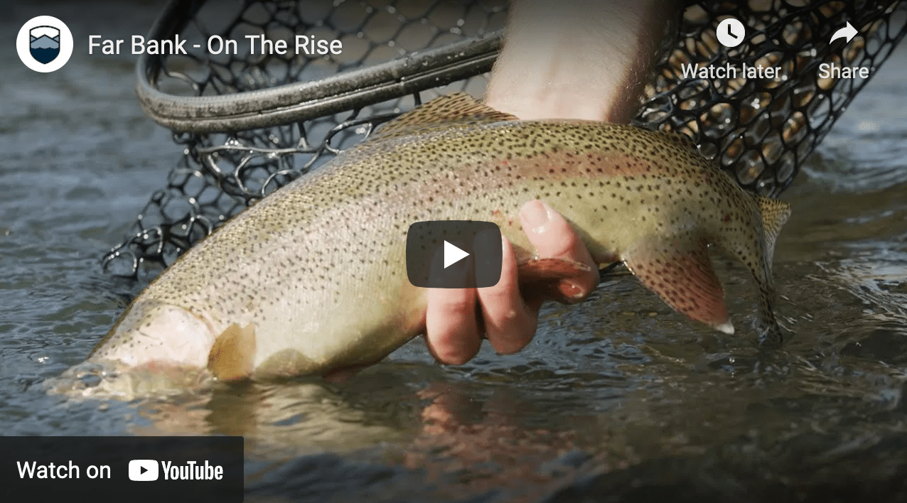 cover image of the video