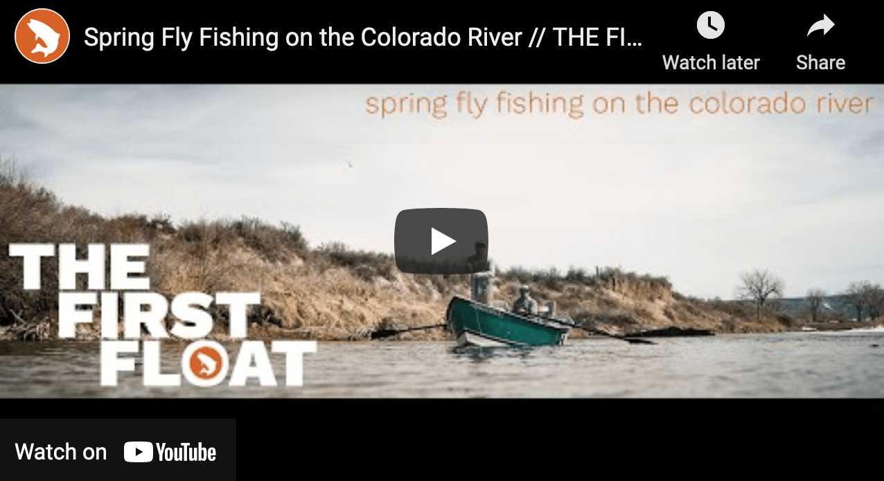 video cover image of people fly fishing from a drift boat