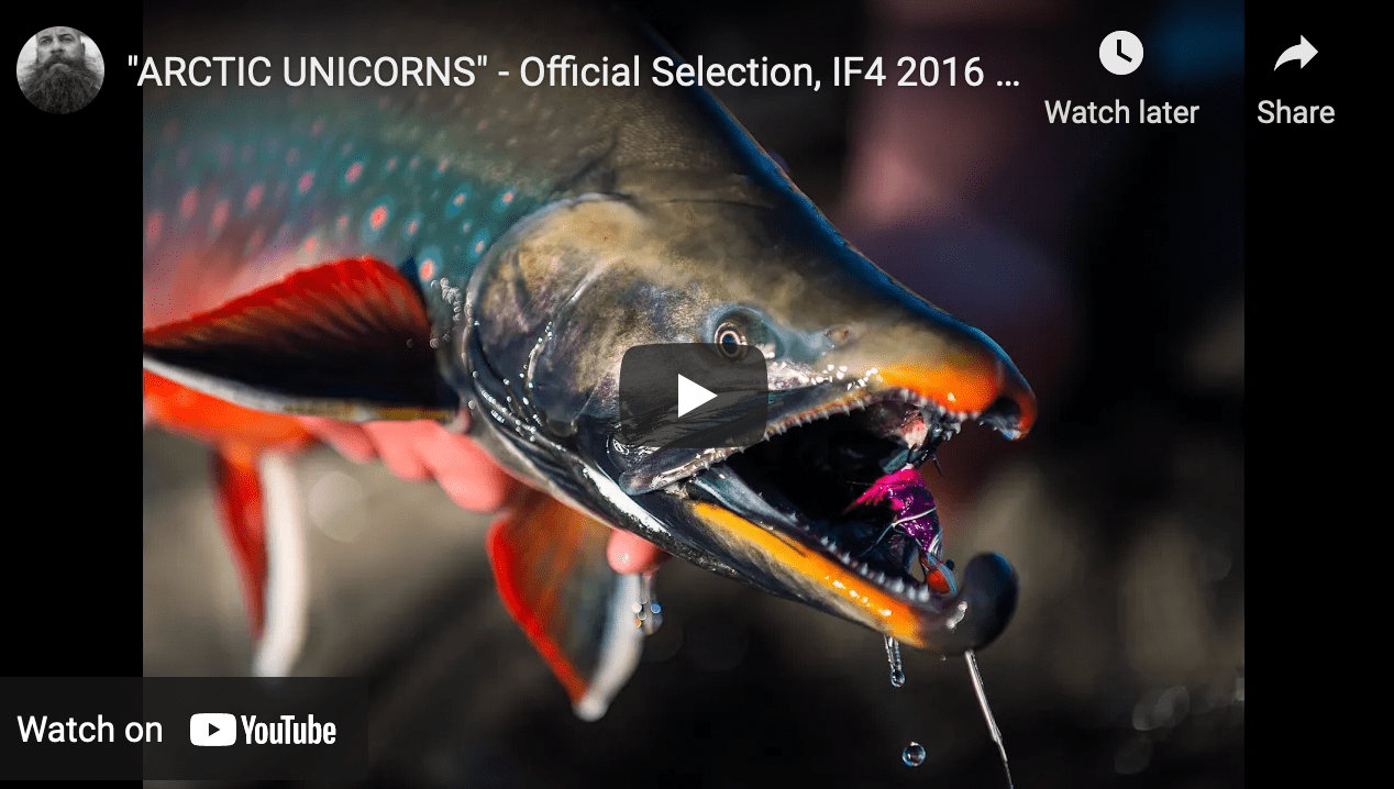 Film Fly Fishing for Char in “ARCTIC UNICORNS” The Venturing Angler