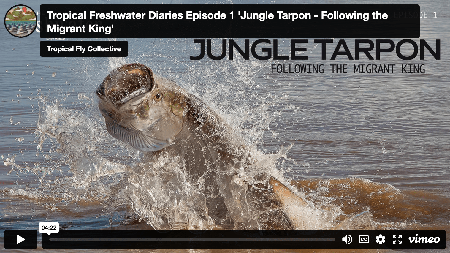Video Jungle Fly Fishing for Tarpon in Costa Rica The Venturing Angler