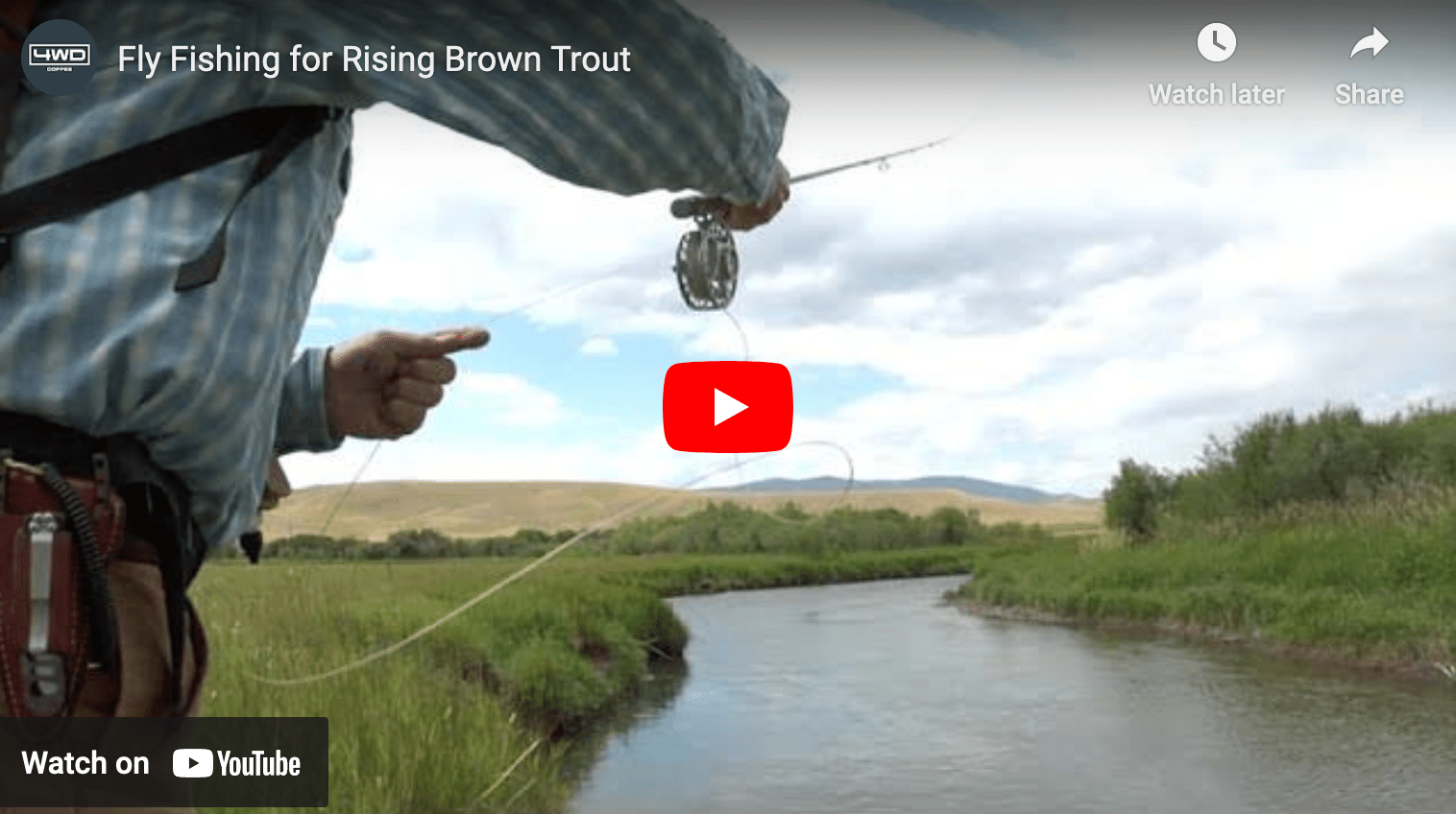 video cover image of someone fly fishing