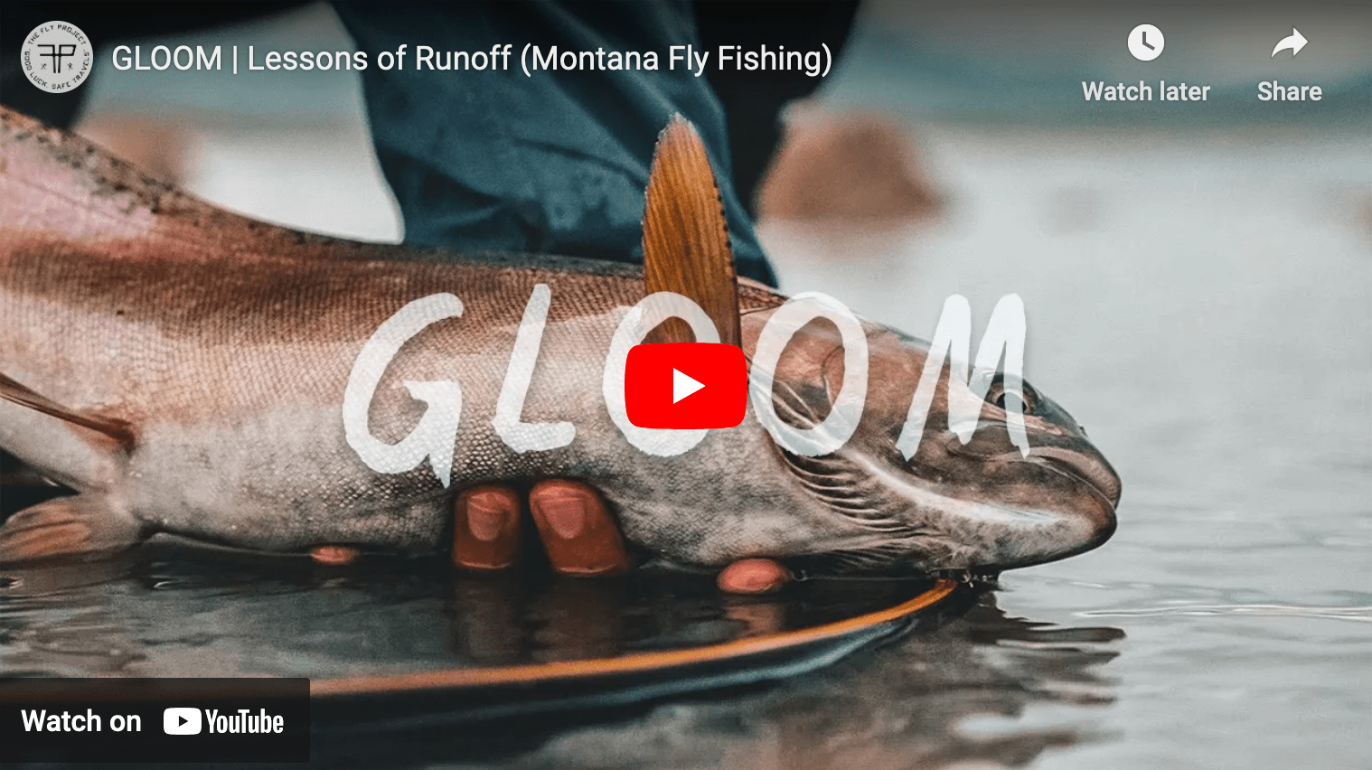 video cover image of a trout being held above water