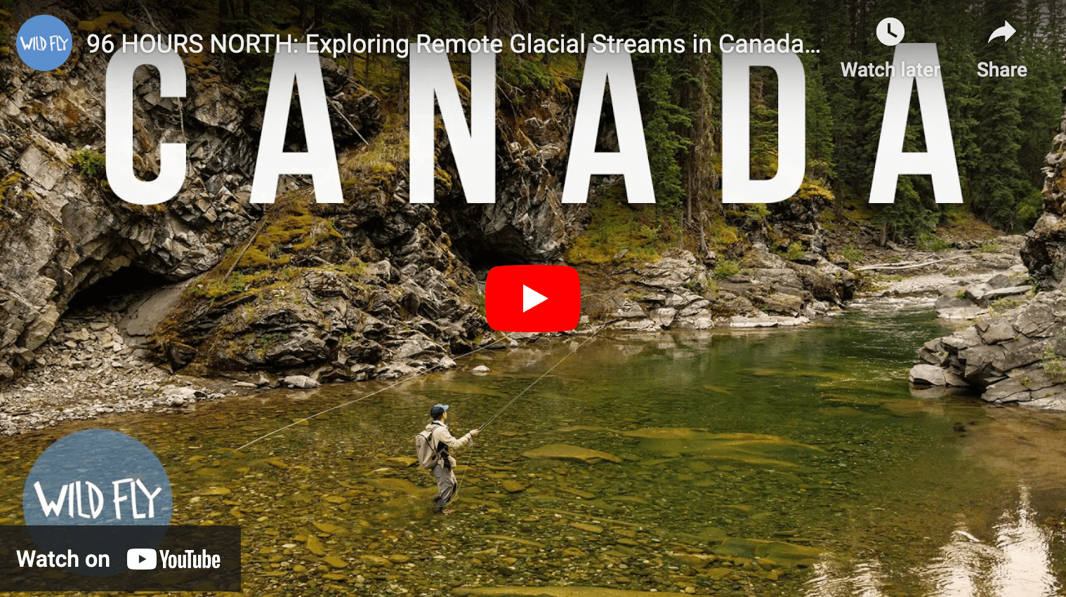 video cover image of an angler fishing in a river