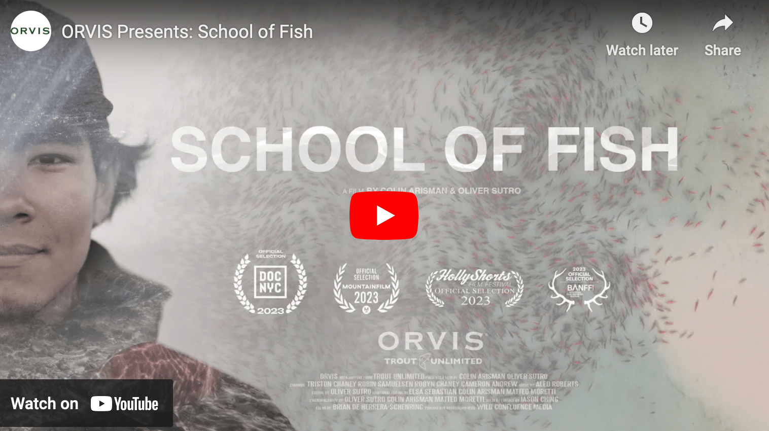 video cover image of a person facing the camera