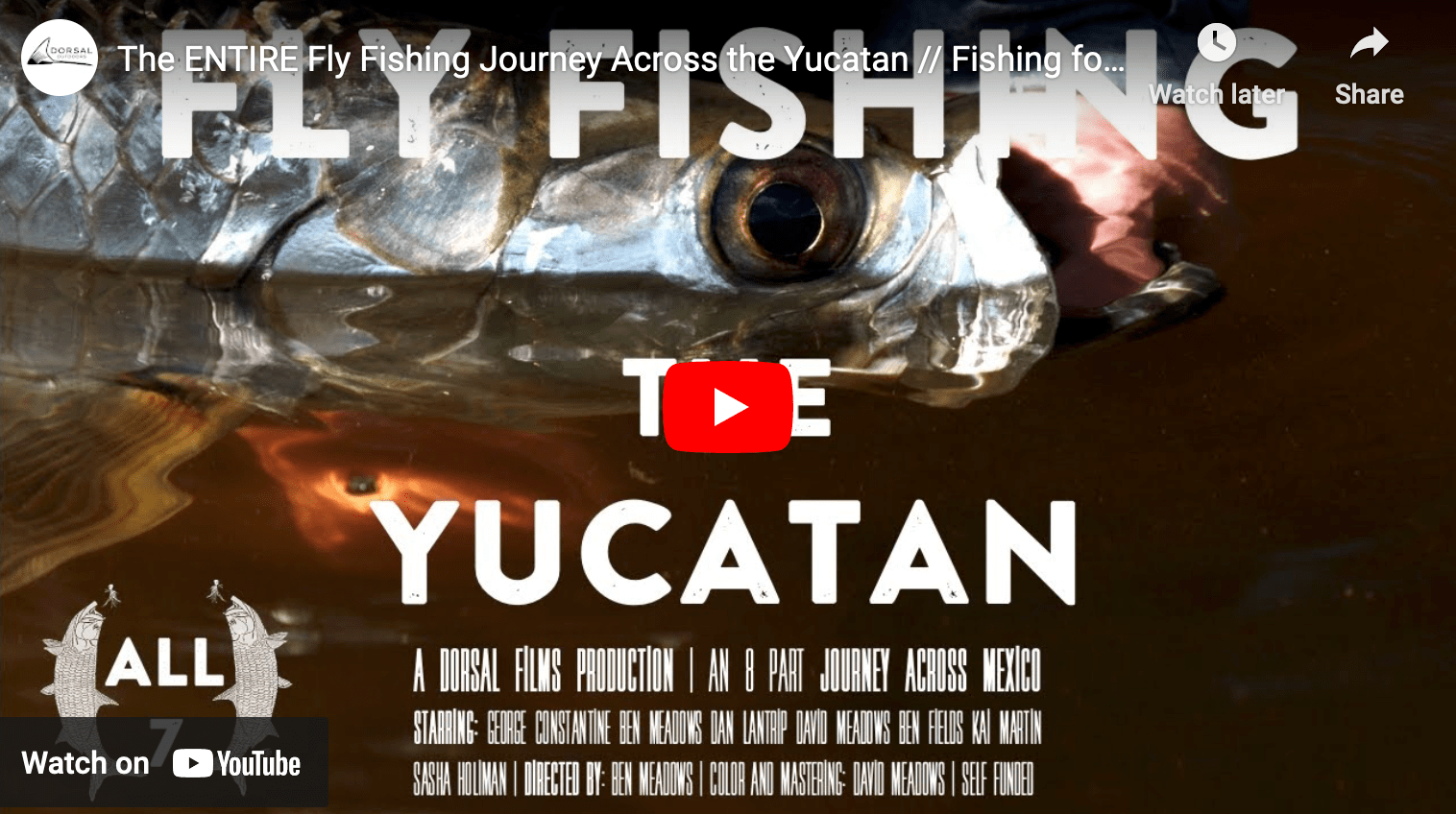 video cover image of a tarpon being held in water