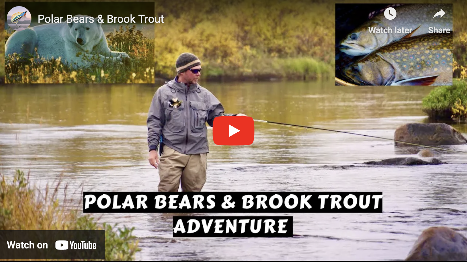 video cover image of a man fishing in a river