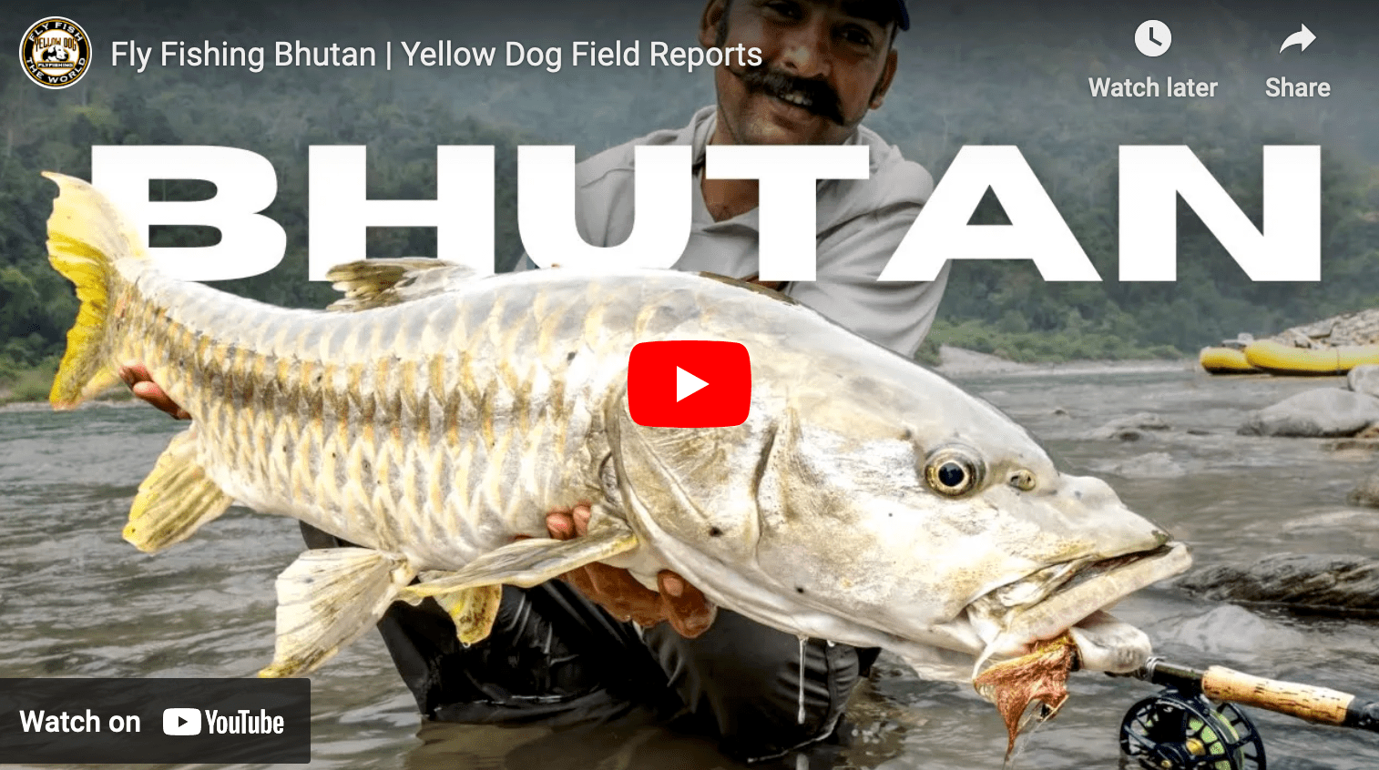 video cover image of an angler holding a mahseer