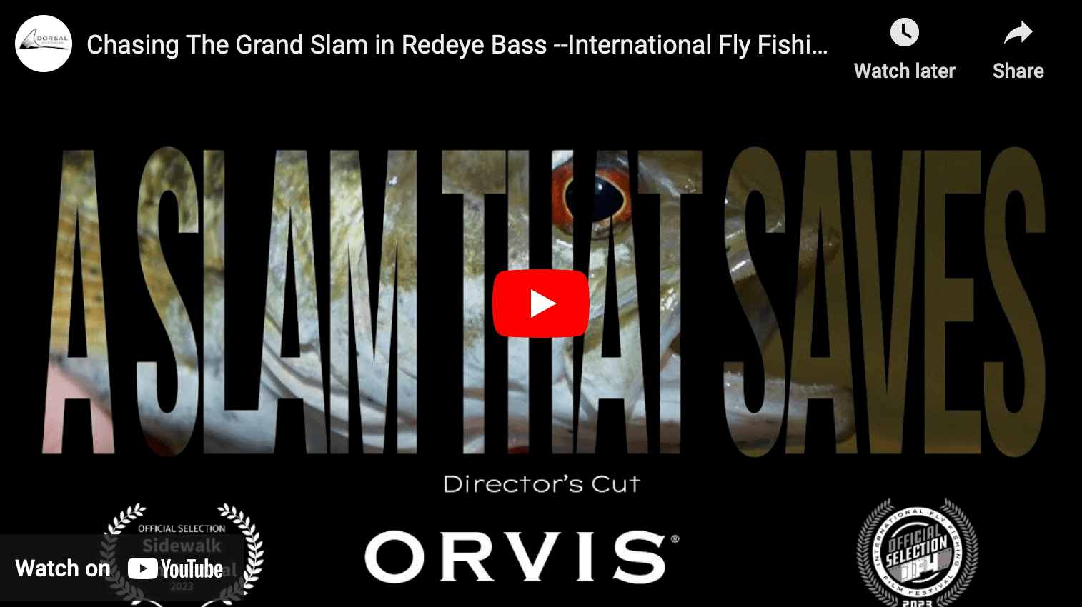 video cover image that reads A Slam That Saves