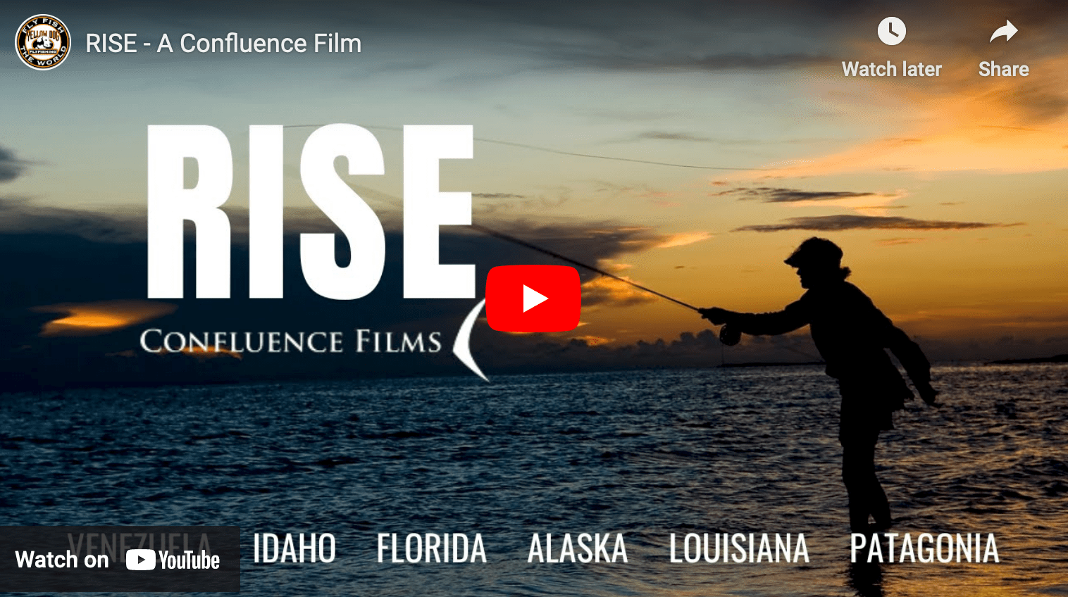 video cover image of an angler casting
