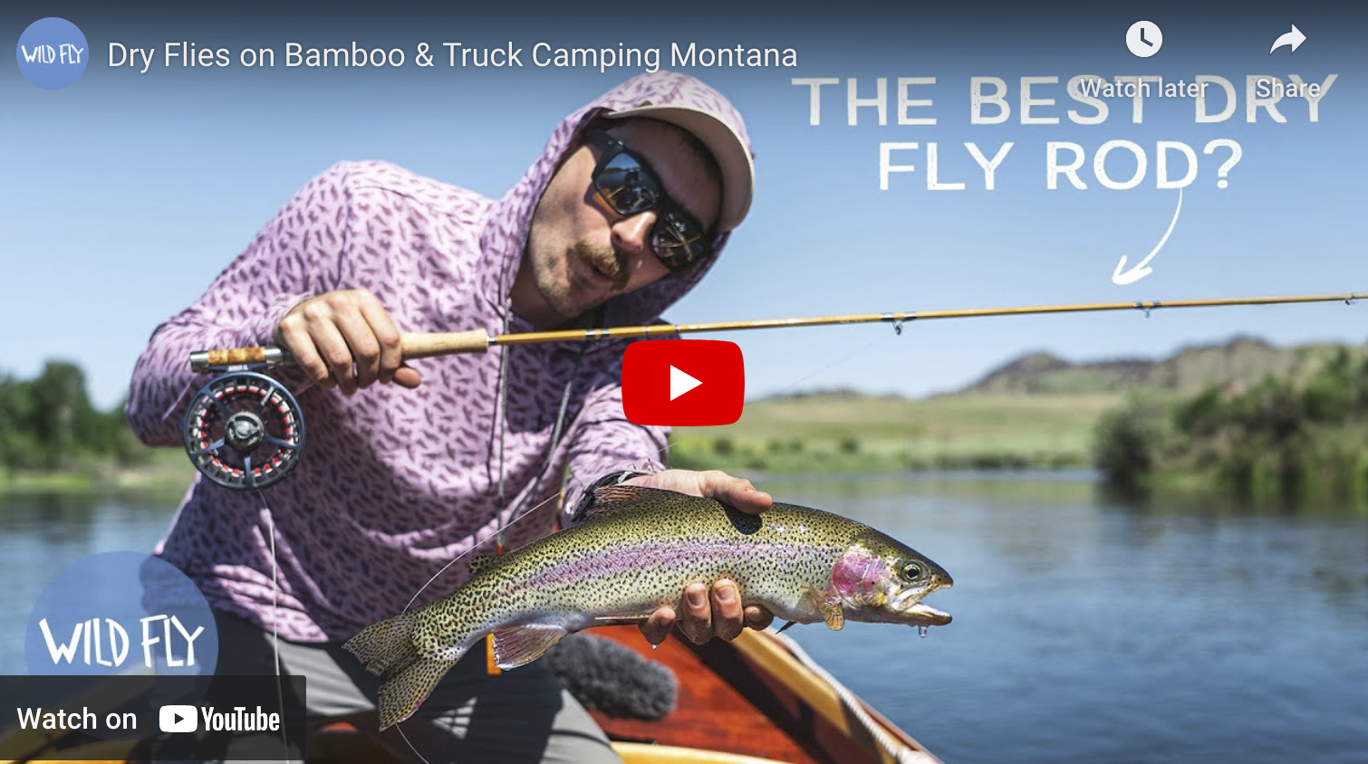 video cover image of an angler holding a trout