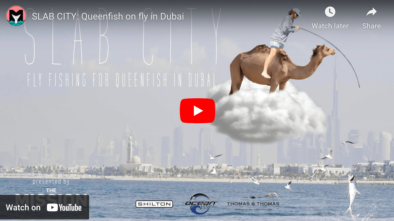 video cover image of an angler fishing from a camel on a cloud
