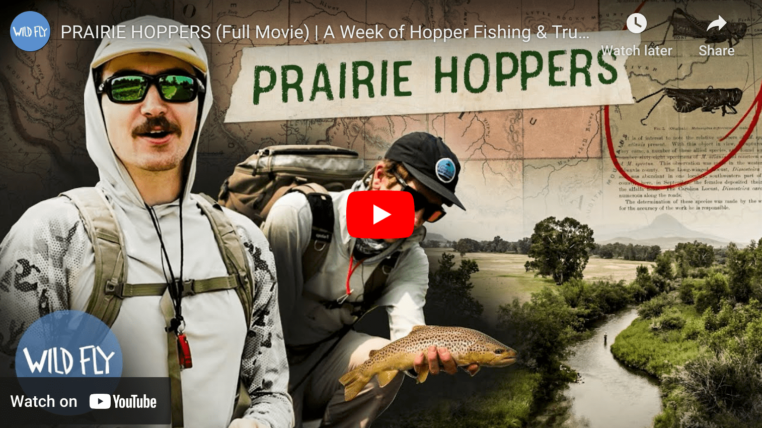 video cover image an angler holding a trout with an aerial photo of an angler standing in a river fishing