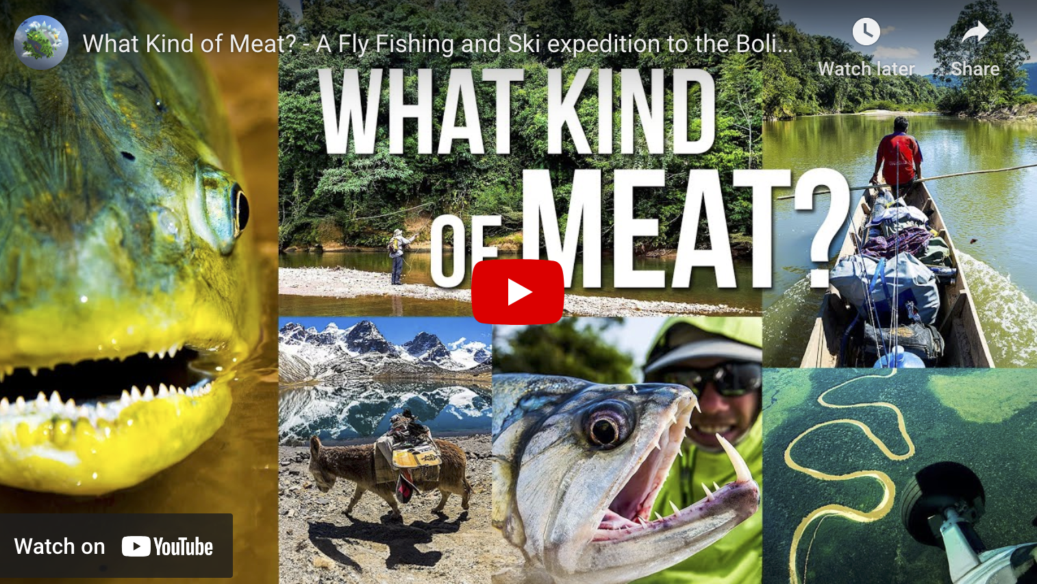 video cover image of scenes from an exploratory trip in the Bolivian Amazon