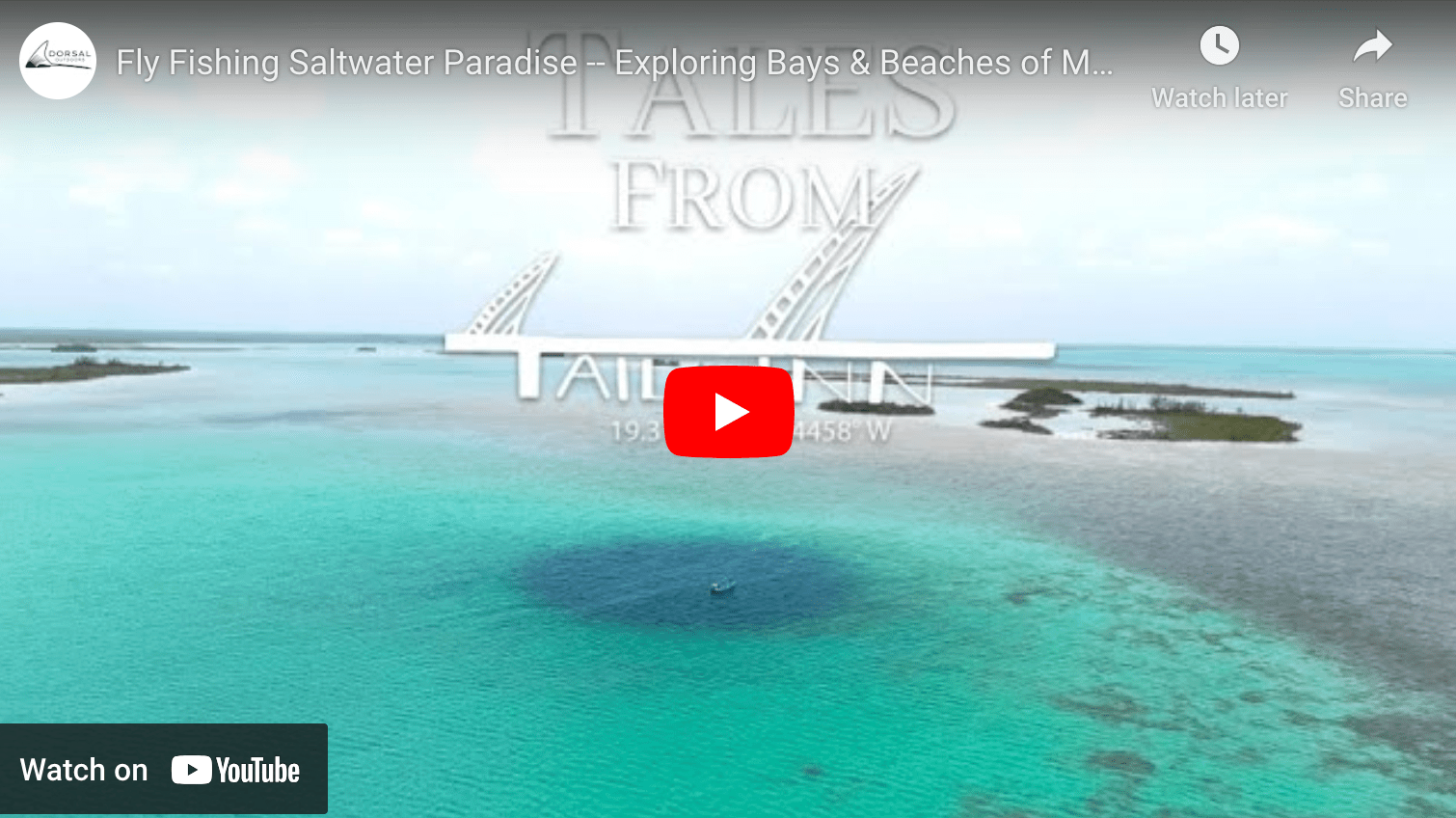 video cover image of an aerial view of tropical flats