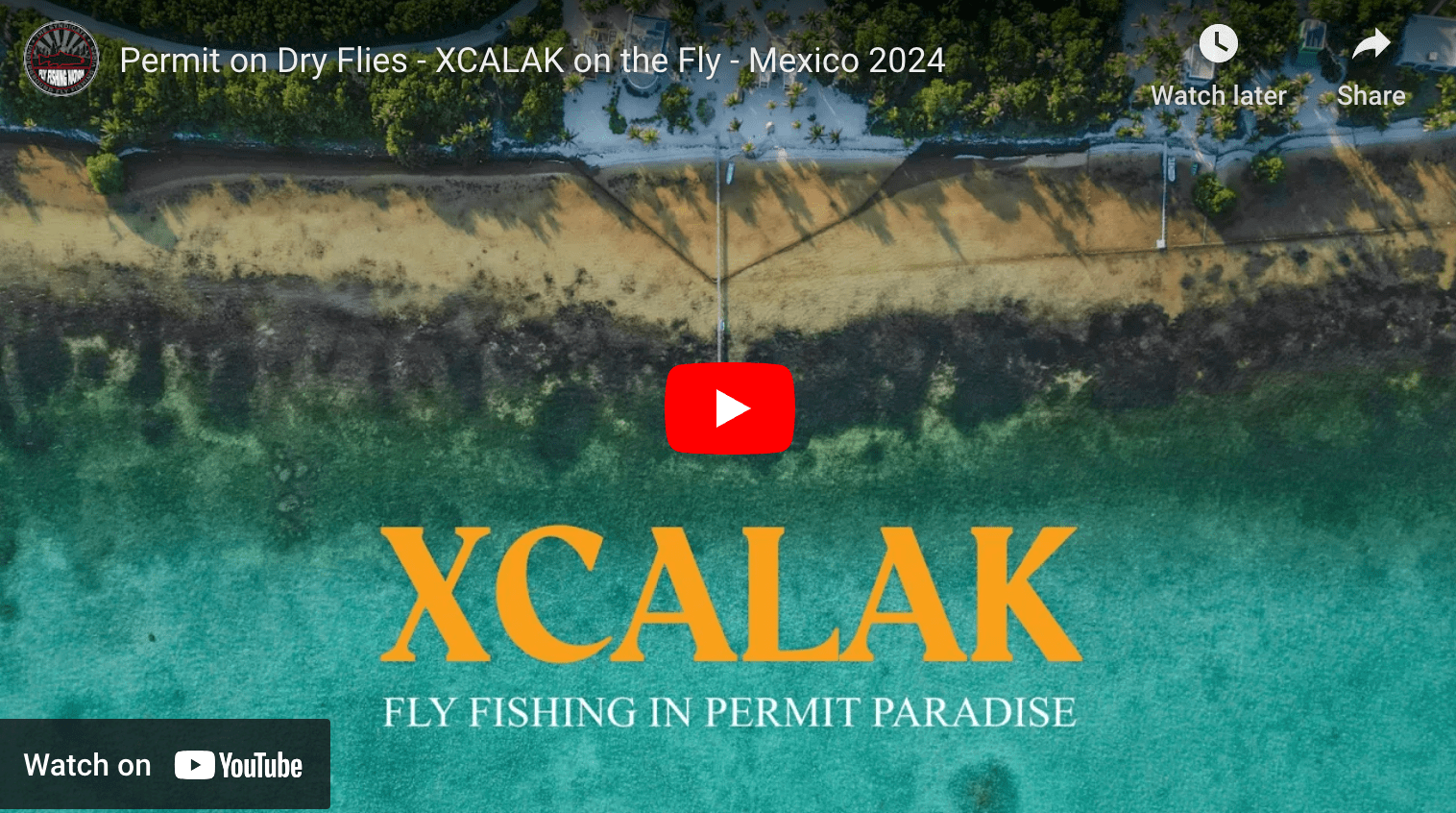 video cover image showing an aerial view of a tropical flats setting