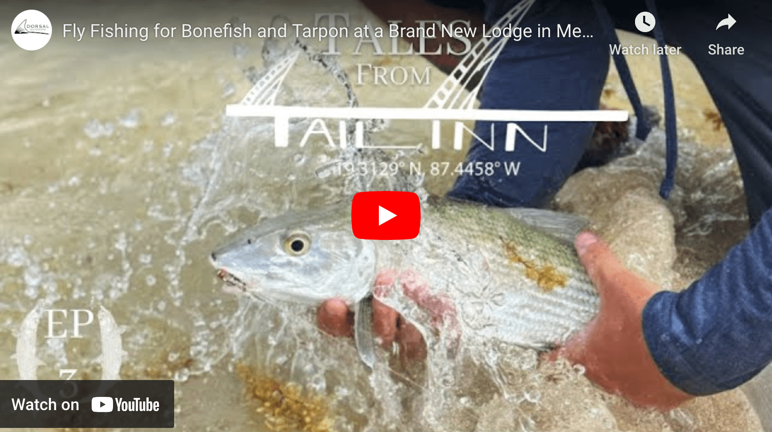 video cover image of a bonefish being held