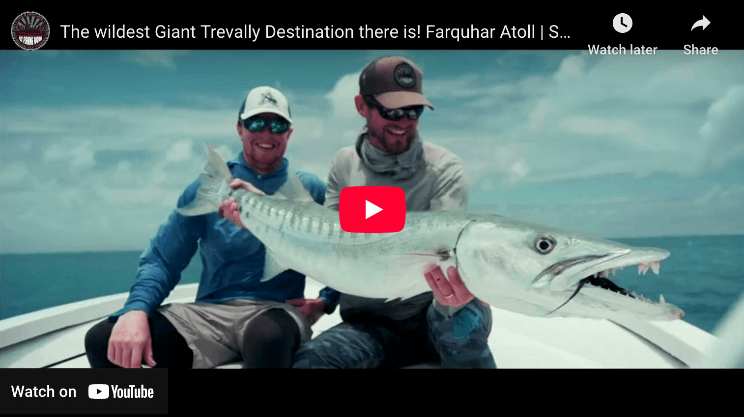video cover image of an angler holding a barracuda
