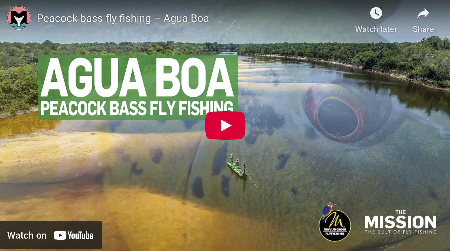 video cover image of an aerial view of people fishing from a boat