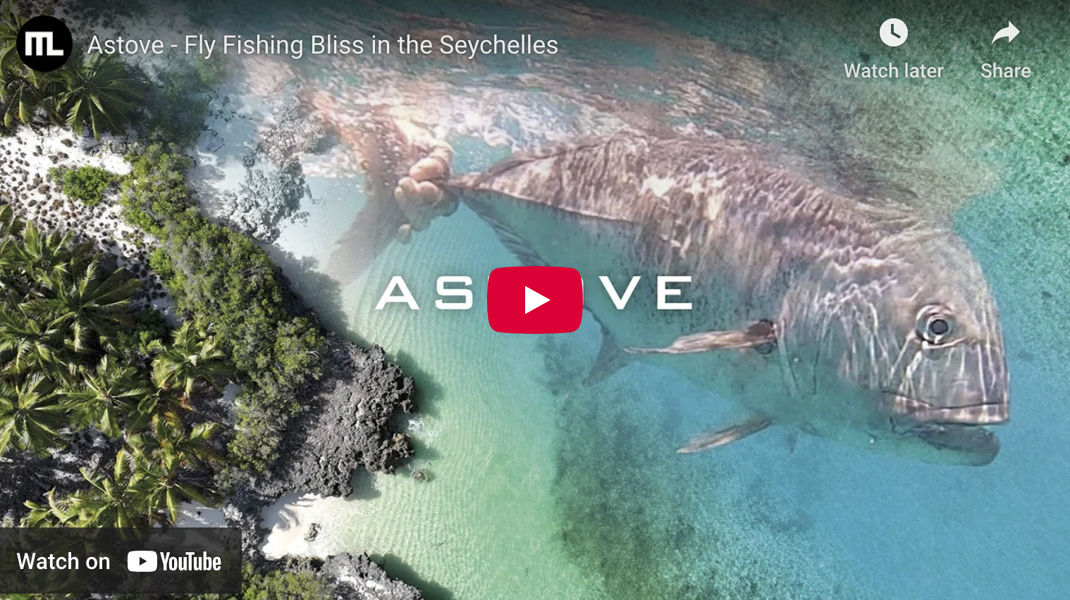 video cover image of a giant trevally underwater