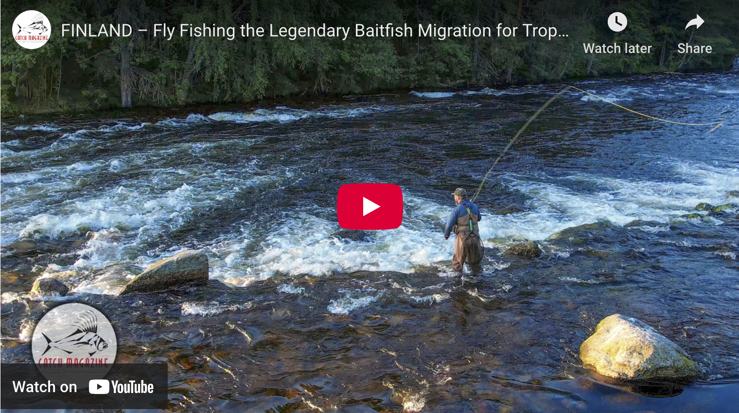 video cover image of an angler casting in a river